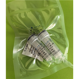 受体激动剂多肽Neuropeptide S (human),Neuropeptide S (human)