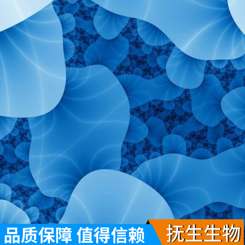 人骨髓基质细胞；HS-5 (STR),HS-5