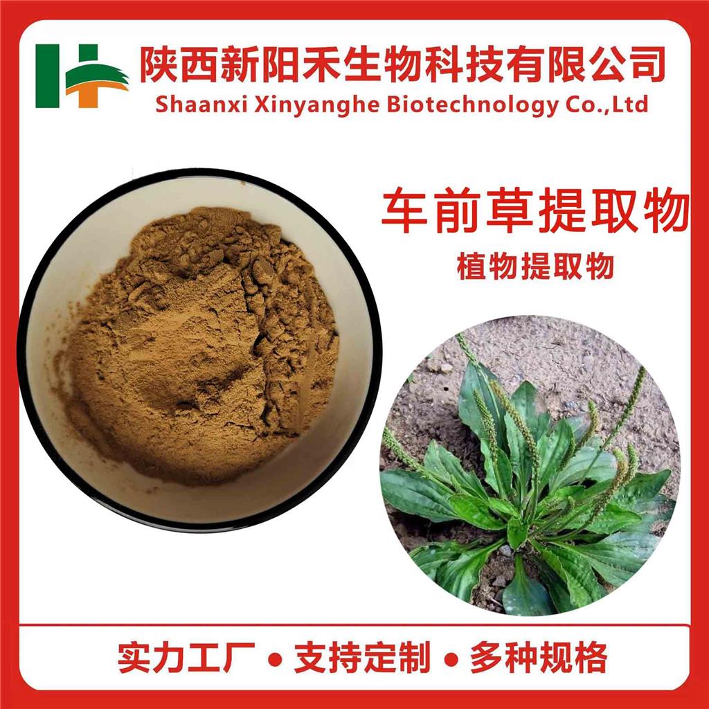 车前草提取物,Plantain Extract