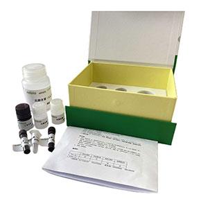 β-羟丁酸/β-羟基丁酸含量测定试剂盒(WST-8法显色)分光法/24样