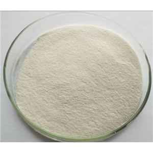 7-氯-4(3H)-喹唑啉酮,7-CHLORO-4-QUINAZOLINOL