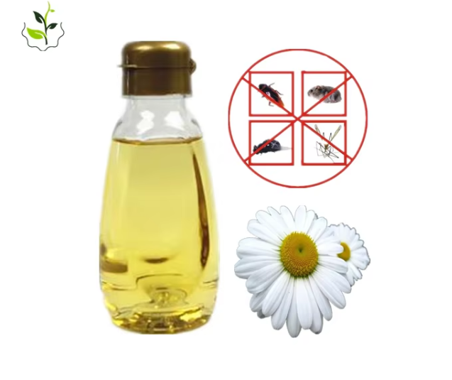 除虫菊提取物,Pyrethrum extract