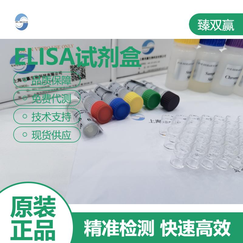 人糖类抗原199(CA199)ELISA试剂盒,Human CA199 ELISA KIT
