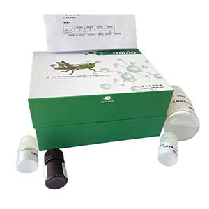 几丁质酶测定试剂盒/微量法/48S,Chitinase ELISA KIT