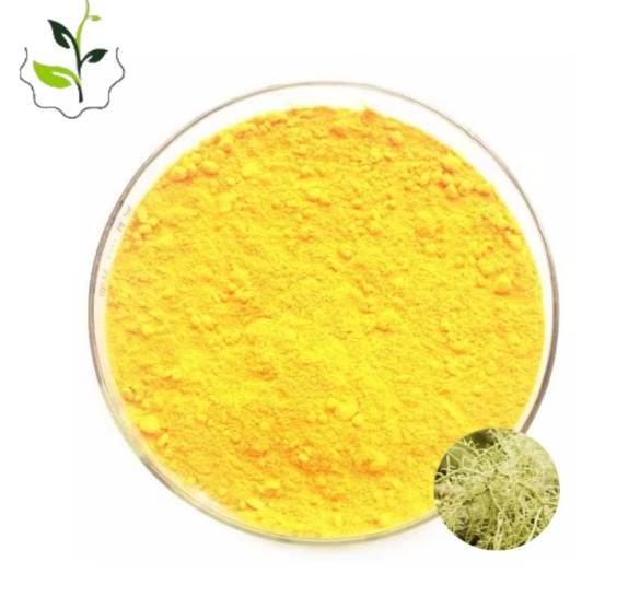 松萝酸提取物,Usnic extract