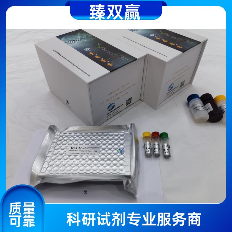 人白细胞介素12(IL-12)ELISA试剂盒,Human IL-12 ELISA KIT