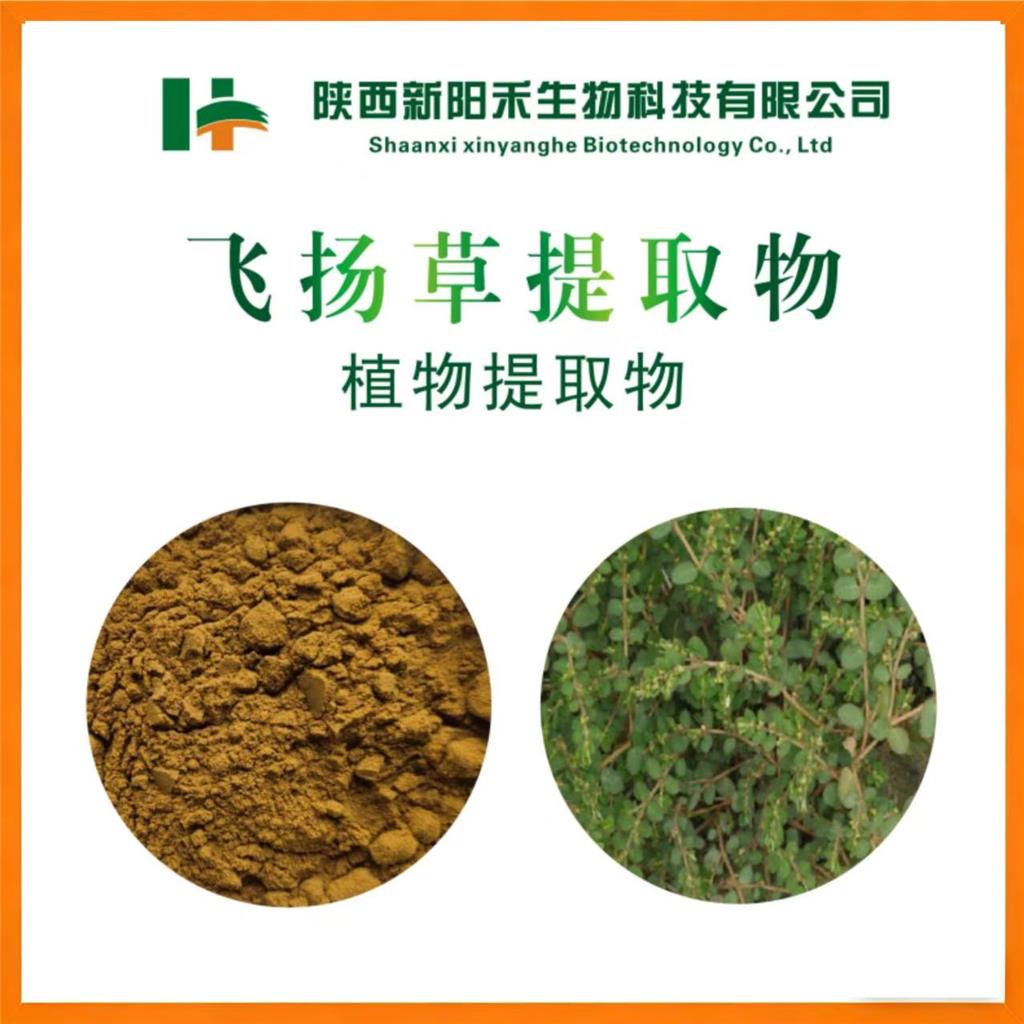 飞扬草提取物,Thymifoious Euphorbia Herb