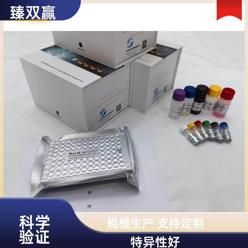 人C4结合蛋白β(C4BPβ)ELISA试剂盒,Human C4BPβ ELISA KIT