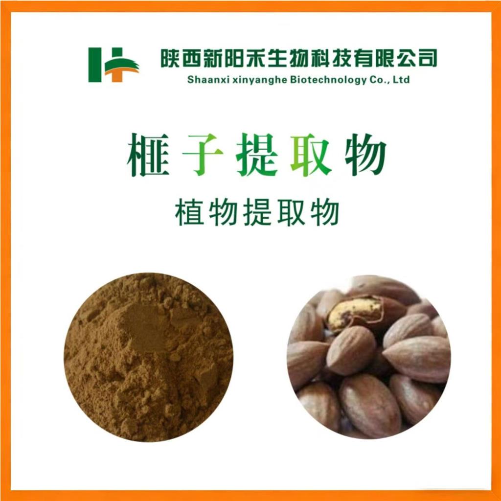 榧子提取物,Torreyae Seme