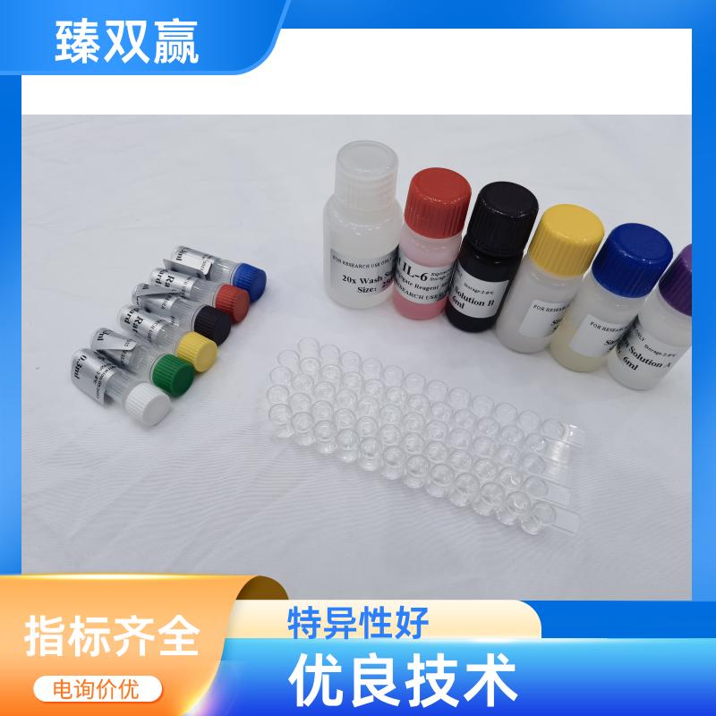 人成纤维细胞生长因子19(FGF-19)ELISA试剂盒,Human FGF-19 ELISA KIT