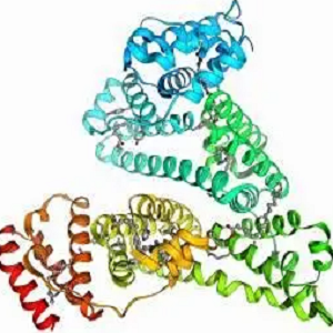 牛血清白蛋白-三聚氰胺,BSA-MEL