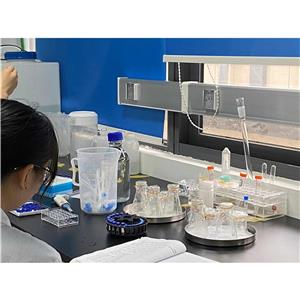 拮抗剂多肽,MSG606