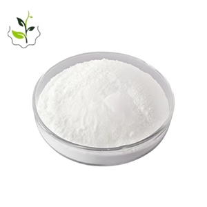 烟酰胺核苷氯化物