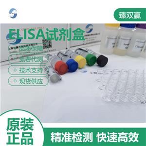 人糖类抗原199(CA199)ELISA试剂盒,Human CA199 ELISA KIT