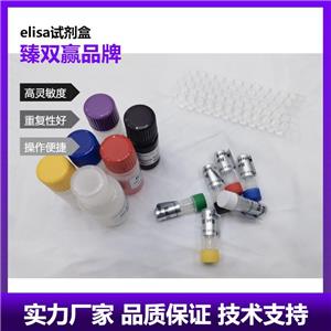 人糖类抗原199(CA199)ELISA试剂盒,Human CA199 ELISA KIT