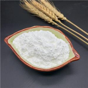 羧甲基淀粉钠,Sodium carboxyl methylstarch