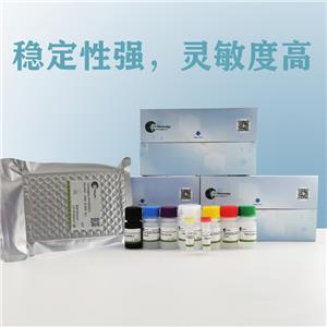 6-keto-PGF1a（6-酮-前列腺素F1a）ELISA试剂盒,6-keto-PGF1a(6-keto-prostaglandin F1a) ELISA Kit