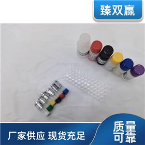 人原肌球蛋白受体激酶B(TrkB)ELISA试剂盒,Human TrkB ELISA KIT