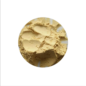 人参提取物,Ginseng Extract