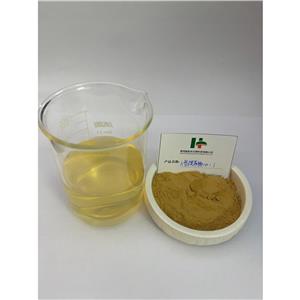 人参提取物,Ginseng Extract
