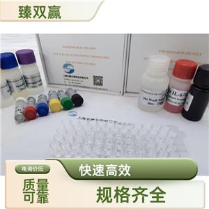 人血管内皮细胞生长因子(VEGF)ELISA试剂盒