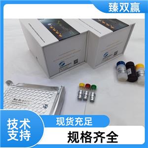 人血小板糖蛋白Ⅸ(GP9/CD42α)ELISA试剂盒