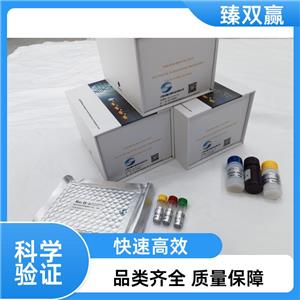 人谷草转氨酶;天门冬氨酸氨基转移酶2（AST2/GOT2）ELISA试剂盒