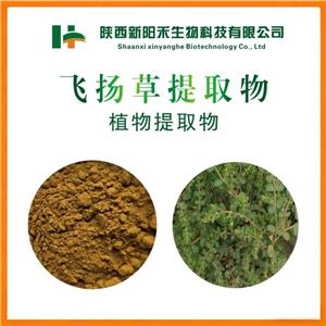 飞扬草提取物,Thymifoious Euphorbia Herb