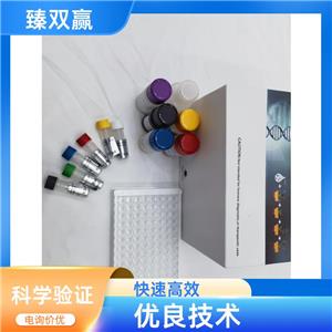 人巨噬细胞炎性蛋白4α(MIP4α)ELISA试剂盒,Human MIP4α ELISA KIT