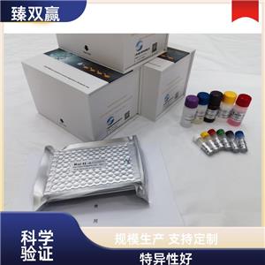 人C4结合蛋白β(C4BPβ)ELISA试剂盒