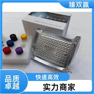 人成纤维细胞生长因子20(FGF-20)ELISA试剂盒