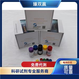 人含RALBP1关联Eps域蛋白1(REPS1)ELISA试剂盒