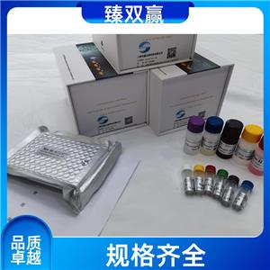 人含硫氧素结构域蛋白12(TXNDC12)ELISA试剂盒,TXNDC12 ELISA KIT