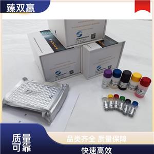 人S100钙结合蛋白A2(S100A2)ELISA试剂盒,Human S100A2 ELISA KIT