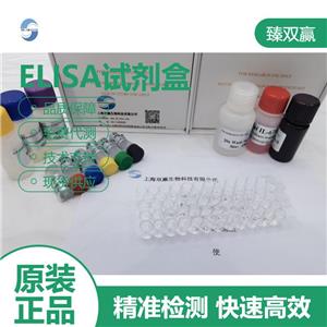 人含免疫球蛋白超家族亮氨酸丰富重复蛋白(ISLR)ELISA试剂盒,Human ISLR ELISA KIT