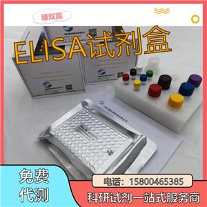 人蛋白二硫化物异构酶A3(PDIA3)ELISA试剂盒,Human PDIA3 ELISA KIT