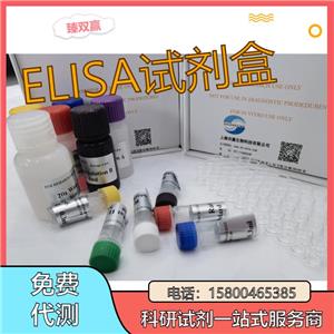人蛋白二硫化物异构酶A3(PDIA3)ELISA试剂盒,Human PDIA3 ELISA KIT
