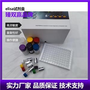 人尾加压素2(UST2)ELISA试剂盒,Human UST2 ELISA KIT