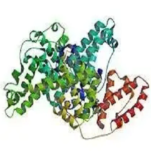 Theophylline-BSA，茶碱偶联牛血清蛋白