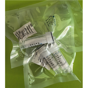 受体激动剂多肽d[Leu4,Lys8]-VP,(Deamino-Cys1,Leu4,Lys8)-Vasopressin