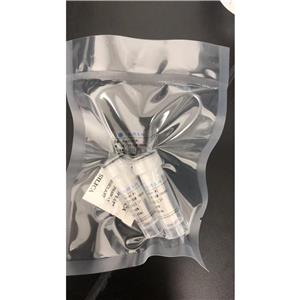 PKG抑制剂多肽,cGMPDependentKinaseInhibitorPeptide