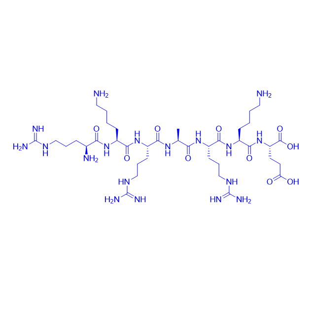 PKG 抑制剂H-Arg-Lys-Arg-Ala-Arg-Lys-Glu-OH,PKG Inhibitor,RKRARKE