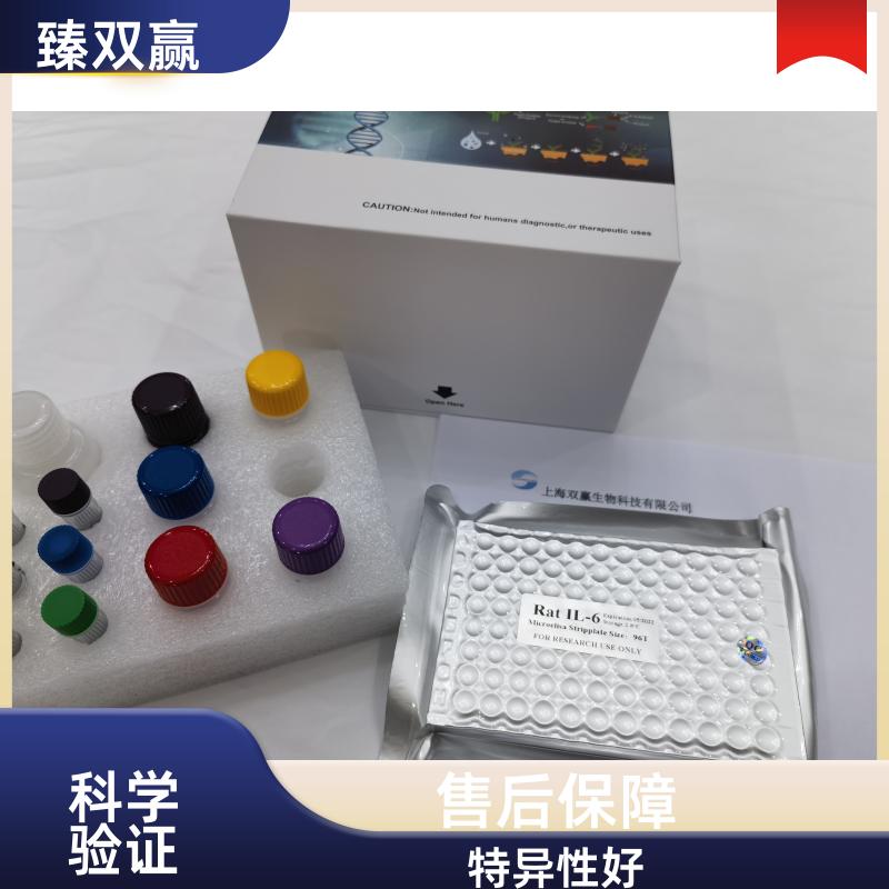 人神经连接蛋白3(NLGN3)ELISA试剂盒,Human NLGN3 ELISA KIT