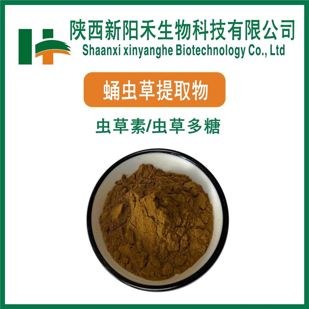 蛹虫草提取物,Cordyceps Militaris Extract