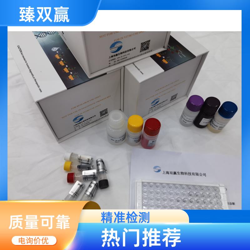 人磷酸化信号传导子及转录激活子3(p-STAT3)ELISA试剂盒,Human p-STAT3 ELISA KIT