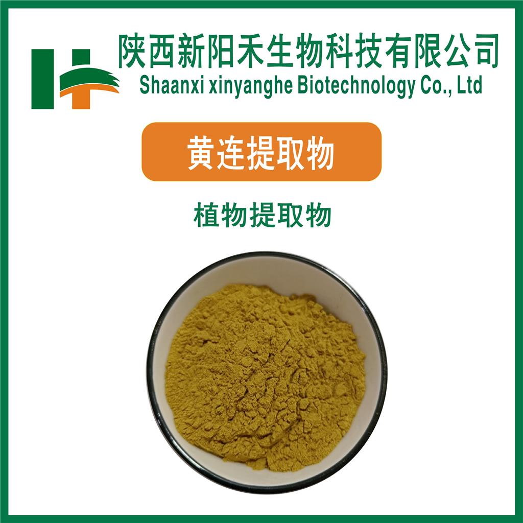 黄连提取物,Coptis chinensis extract