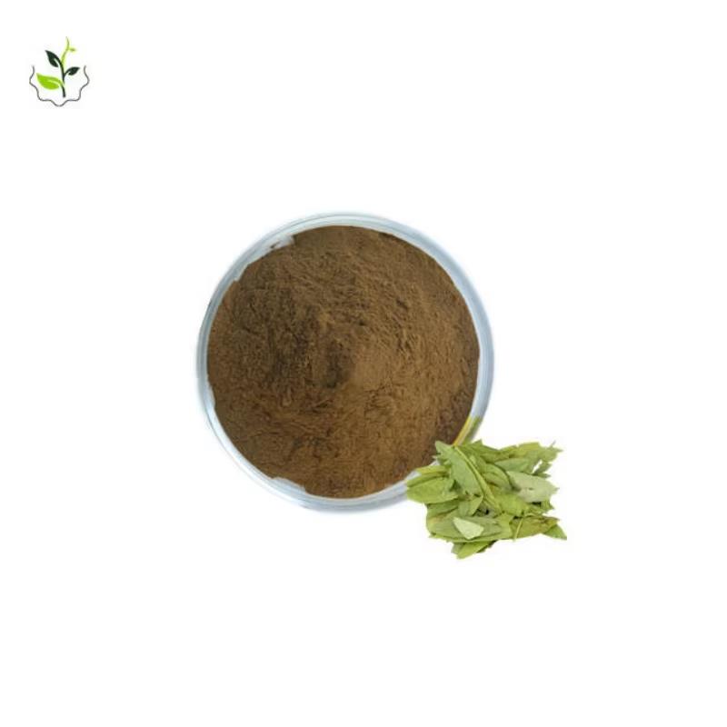 番泻叶提取物,Senna Leaf Extract