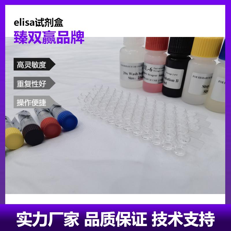 人辅肌动蛋白α2(ACTN2)ELISA试剂盒,Human ACTN2 ELISA KIT