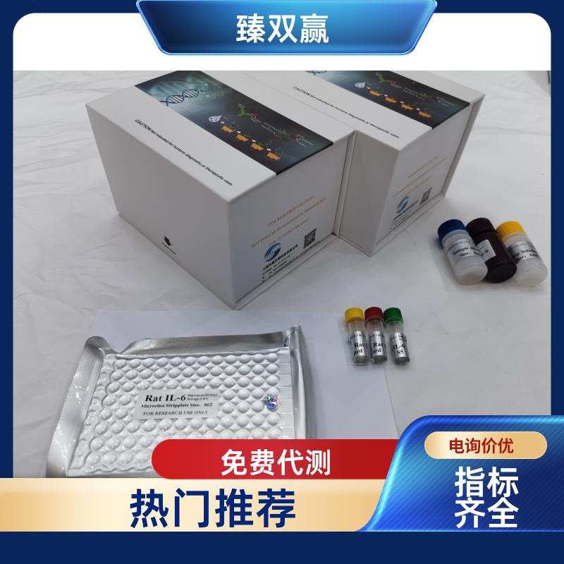 人运动神经元生存蛋白2(SMN2)ELISA试剂盒,Human SMN2 ELISA KIT