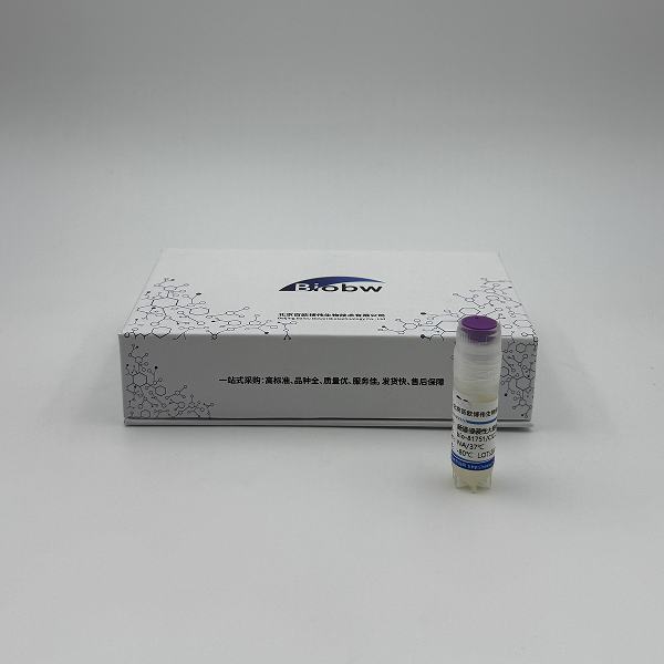 Clostridium Algidicarnis,Clostridium Algidicarnis